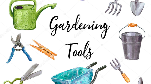 Finchale Garden - Donations of Tools