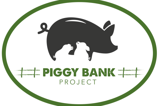 Piggy Bank Project by Empathy International cover photo