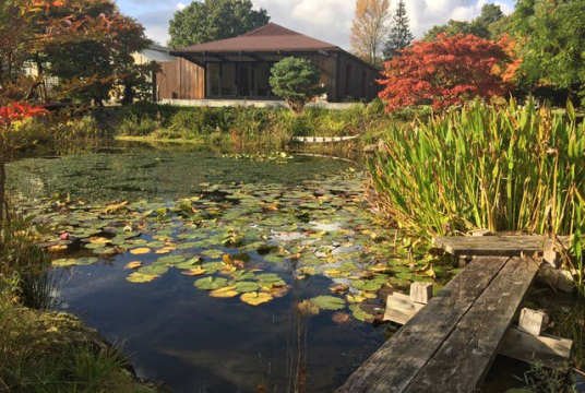 Wellbeing Day Retreat by South East Cancer Help Centre cover photo