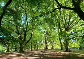 Fundraiser cover image