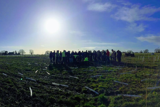 Team Building Volunteer Days to help us plant trees by The Heart of England Forest cover photo