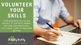 Become a 'Charity Buddy' Volunteer