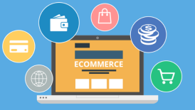 E-commerce Expert Volunteer