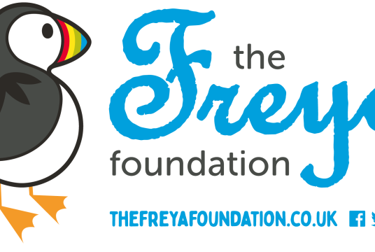 The '25' Challenge by The Freya Foundation cover photo