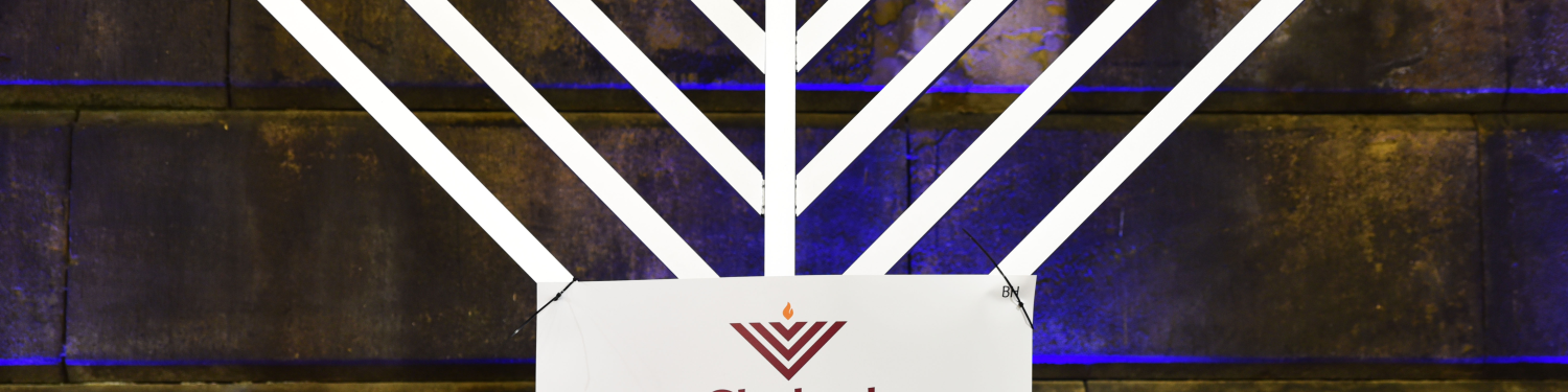 chabad on the south bank logo