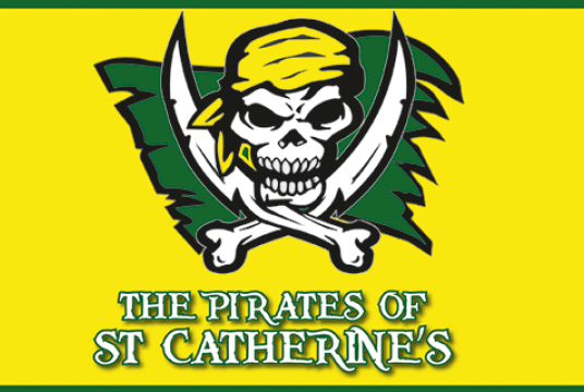 Dragon Boat Race 2020 by ST CATHERINES SCHOOL PARENT TEACHER ASSOCIATION cover photo