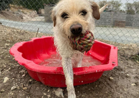 Fundraiser cover image