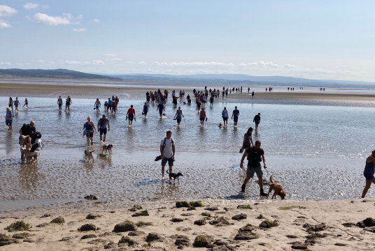 Niki, Lisa & Rio Walking across the Sands by Niki Stockton cover photo