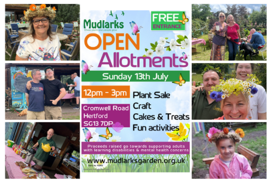 Mudlarks Open Allotment by The Mudlarks Community cover photo