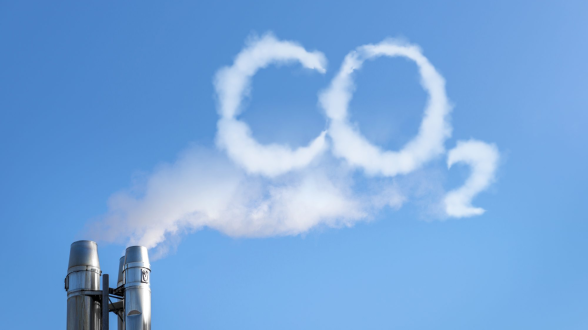 Our Net Zero Carbon emissions commitment