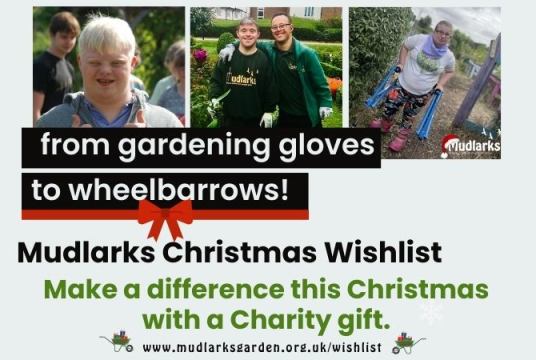 Mudlarks Christmas Wishlist by The Mudlarks Community cover photo