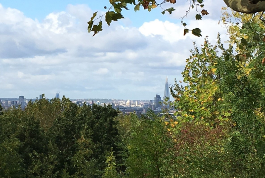 Our Ten New Parks for London campaign by CPRE London cover photo
