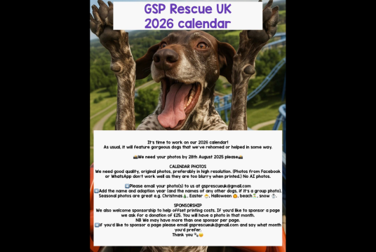 2026 Calendar sponsor - £25 + gift aid by German Shorthaired Pointer Trust cover photo