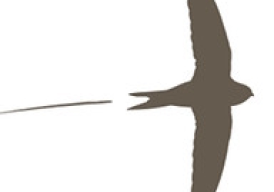 Fundraiser cover image