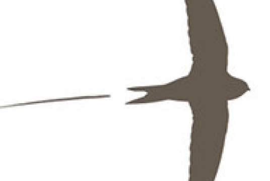 All our charitable work by Hampshire Swifts cover photo