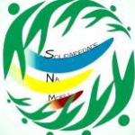 SOLIDARIEDADE NA MOKILI logo