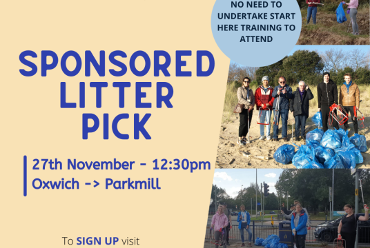 Sponsored Litter Pick by Discovery SVS cover photo