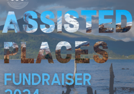 Fundraiser cover image