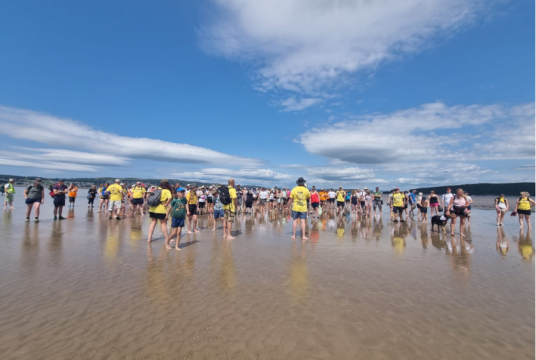 Walk The Bay by Sheila Gimson cover photo