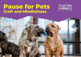 Fundraiser cover image
