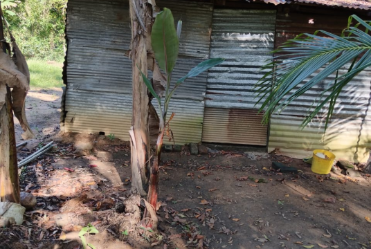 Support Anton: Help Build My Home and Start an Organic Farming Dream by Anton Niluj cover photo