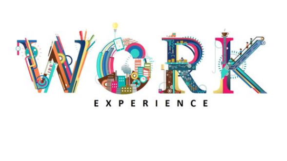 Work Experience