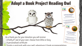 Adopt an Owl