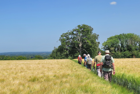 Croydon Ramblers by South East Cancer Help Centre cover photo