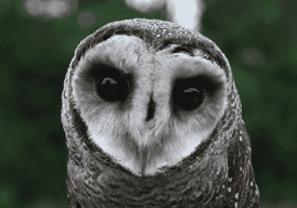 Fundraiser cover image