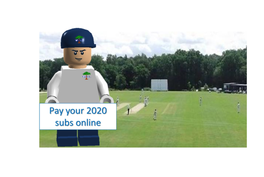 2020 Membership by Valley End Cricket Club cover photo