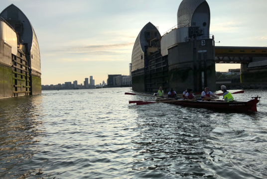 Reel Nauti by The AHOY Centre cover photo