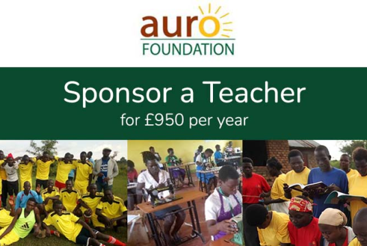 Sponsor a Teacher – Auro Foundation by CAREducation Trust Ltd cover photo