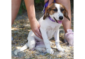 Fundraiser cover image