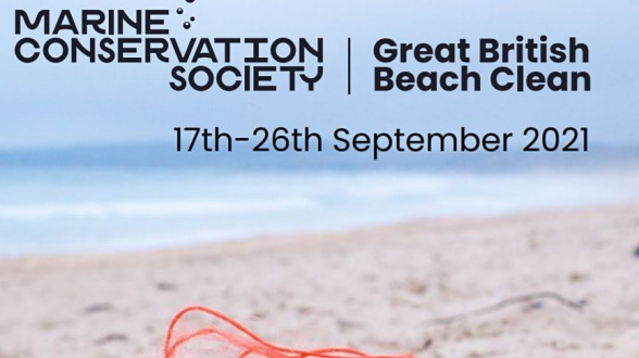 Great British & NI Beach Clean 2021