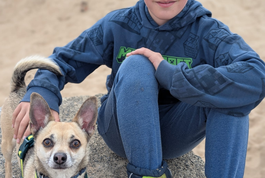 Kyan and Tim walking for dogs in need by Abigail  Connor cover photo
