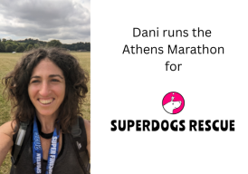 Fundraiser cover image