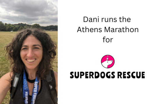 Paws, Sweat & Cheers! by Danielle Satsias cover photo