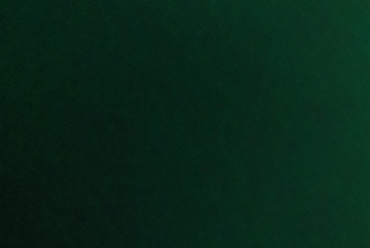 Test1 by Shireen Nazer cover photo