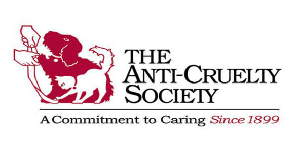 Pet Beds for The Anti-Cruelty Society