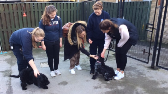 RSPCA