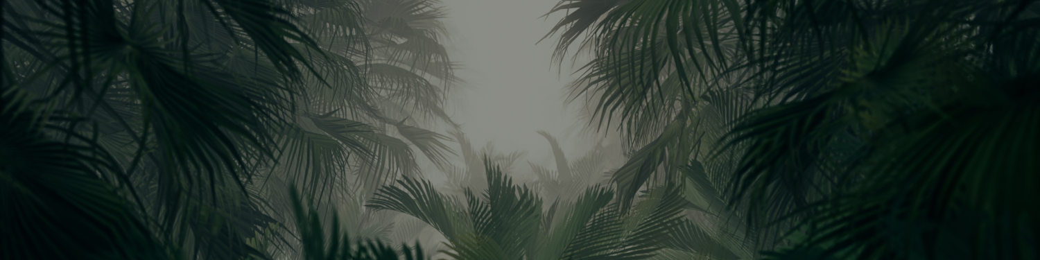 The Dinosaur Trust logo