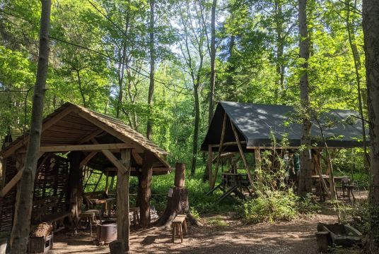 Running Eryri Marathon for The Cart Shed by The Cart Shed Charity cover photo