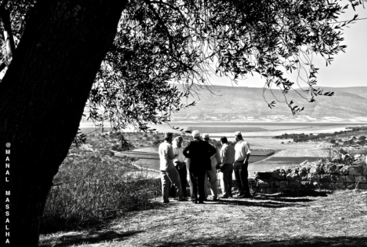 In Support of Medical Training in Palestine  by Manal Massalha cover photo