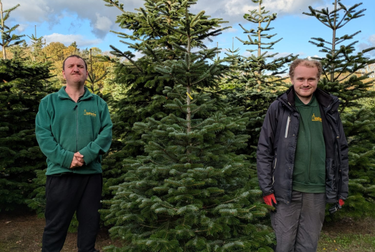 8ft Charity Christmas Tree by The Mudlarks Community cover photo