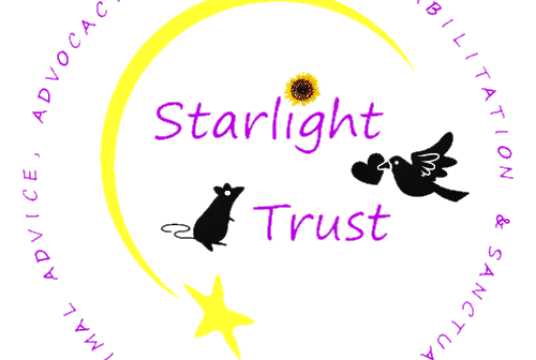 All charitable work by The Starlight Trust cover photo