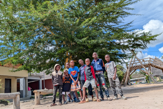 Help us to plant trees in Zambia by Baraka Community Partnerships cover photo