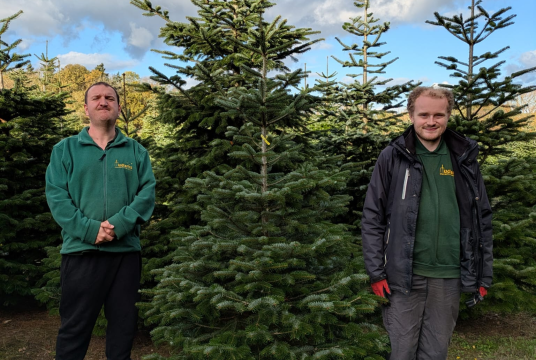 6ft Charity Christmas Trees  by The Mudlarks Community cover photo