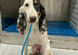 Fundraiser cover image