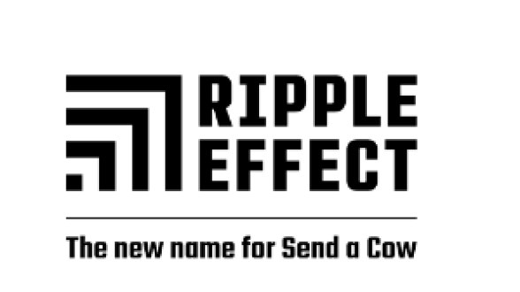 Ripple Effect FTSE Bingo