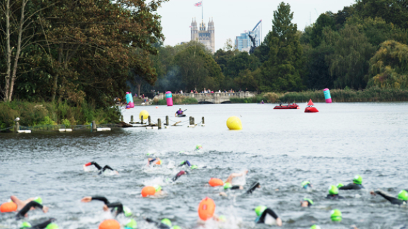 Swim Serpentine